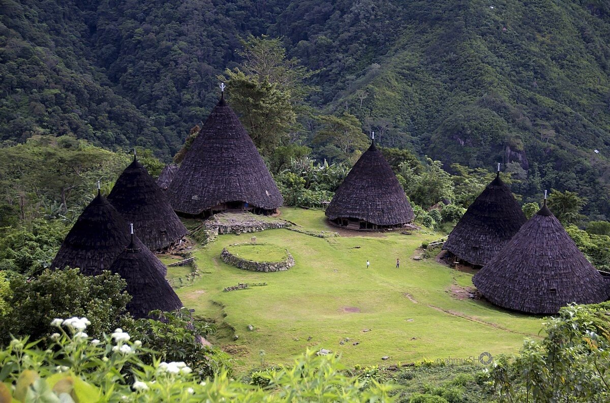 wisata rumah adat